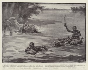 De Vooruitgang van het Kassala Garnizoen, kamelen zwemmend over de Atbara-rivier